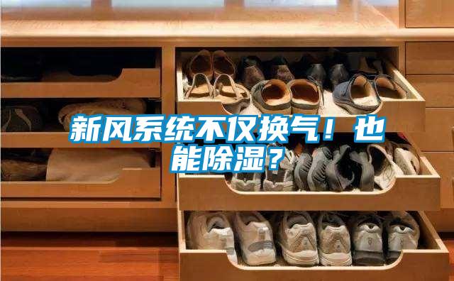 新風(fēng)系統(tǒng)不僅換氣！也能除濕？