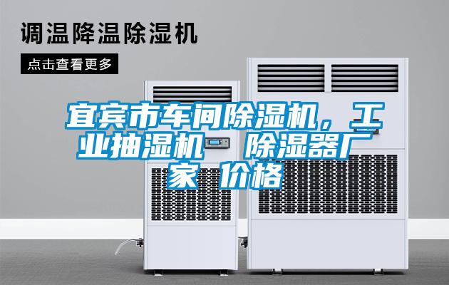 宜賓市車(chē)間除濕機(jī)，工業(yè)抽濕機(jī)  除濕器廠(chǎng)家 價(jià)格