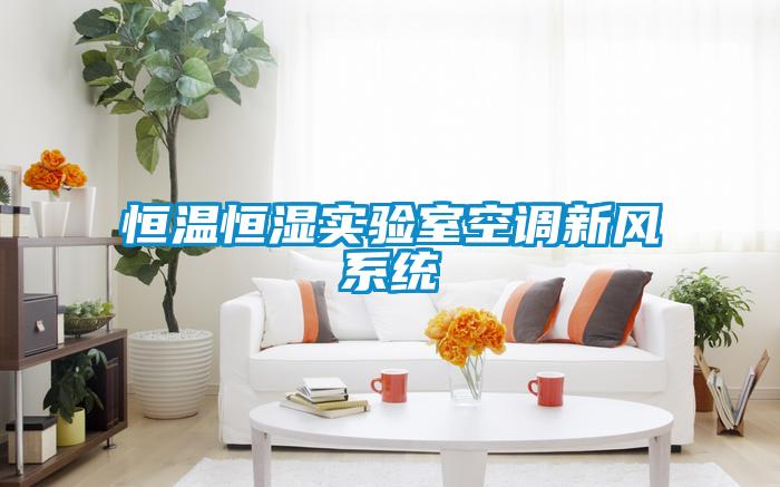 恒溫恒濕實驗室空調(diào)新風(fēng)系統(tǒng)