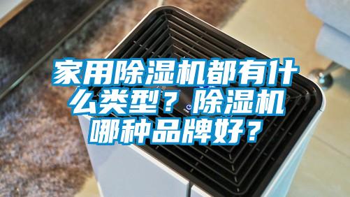 家用除濕機(jī)都有什么類型？除濕機(jī)哪種品牌好？