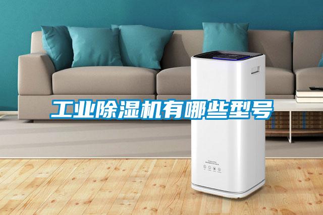 工業(yè)除濕機(jī)有哪些型號(hào)