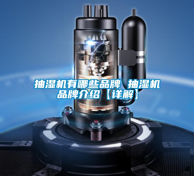 抽濕機(jī)有哪些品牌 抽濕機(jī)品牌介紹【詳解】