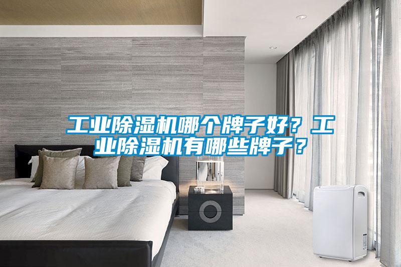 工業(yè)除濕機哪個牌子好？工業(yè)除濕機有哪些牌子？