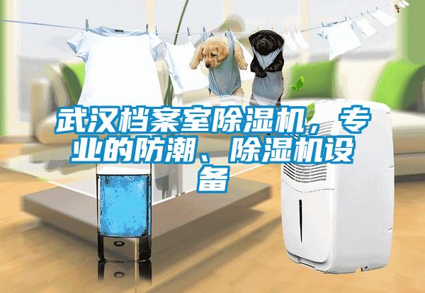 武漢檔案室除濕機，專業(yè)的防潮、除濕機設備