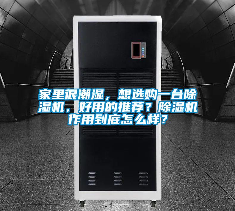 家里很潮濕，想選購一臺除濕機(jī)，好用的推薦？除濕機(jī)作用到底怎么樣？