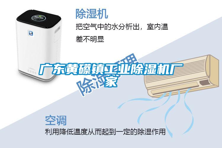 廣東黃礤鎮(zhèn)工業(yè)除濕機廠家