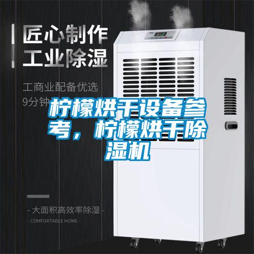 檸檬烘干設(shè)備參考，檸檬烘干除濕機(jī)