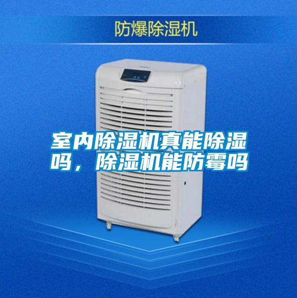 室內(nèi)除濕機(jī)真能除濕嗎，除濕機(jī)能防霉嗎