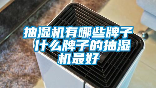 抽濕機(jī)有哪些牌子 什么牌子的抽濕機(jī)最好