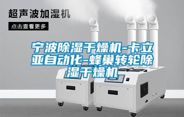 寧波除濕干燥機-卡立亞自動化-蜂巢轉(zhuǎn)輪除濕干燥機