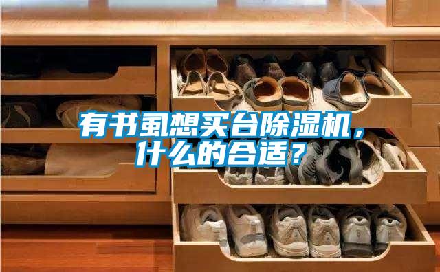 有書虱想買臺除濕機，什么的合適？