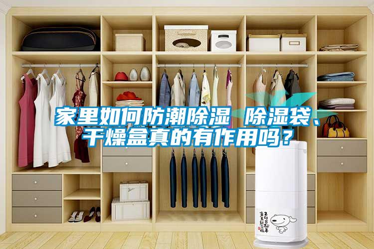 家里如何防潮除濕 除濕袋、干燥盒真的有作用嗎？