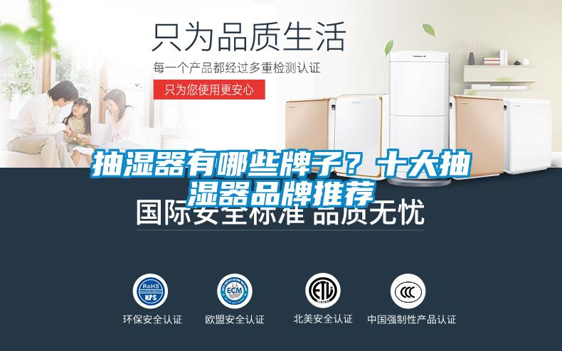 抽濕器有哪些牌子？十大抽濕器品牌推薦