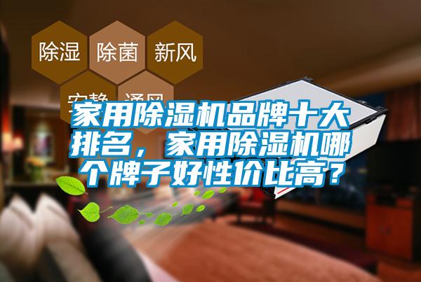 家用除濕機(jī)品牌十大排名，家用除濕機(jī)哪個(gè)牌子好性?xún)r(jià)比高？