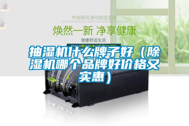 抽濕機(jī)什么牌子好（除濕機(jī)哪個(gè)品牌好價(jià)格又實(shí)惠）