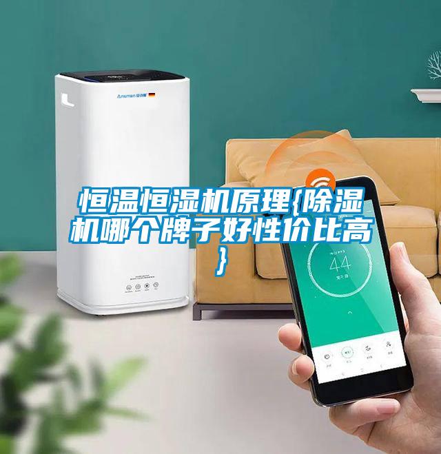 恒溫恒濕機(jī)原理{除濕機(jī)哪個(gè)牌子好性?xún)r(jià)比高}