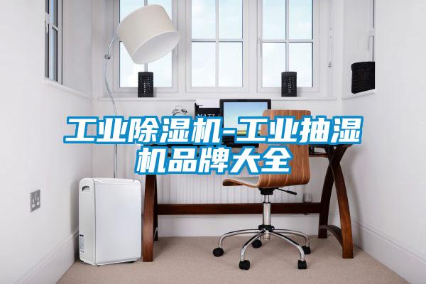 工業(yè)除濕機-工業(yè)抽濕機品牌大全