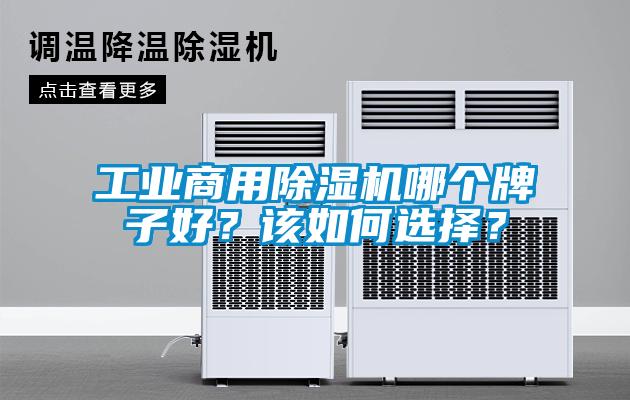 工業(yè)商用除濕機哪個牌子好？該如何選擇？