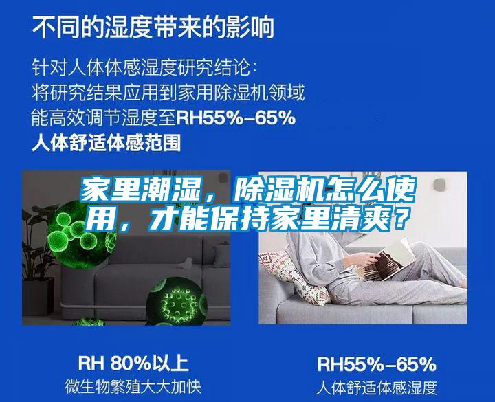 家里潮濕，除濕機怎么使用，才能保持家里清爽？