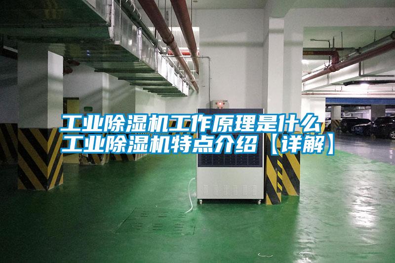 工業(yè)除濕機(jī)工作原理是什么 工業(yè)除濕機(jī)特點(diǎn)介紹【詳解】