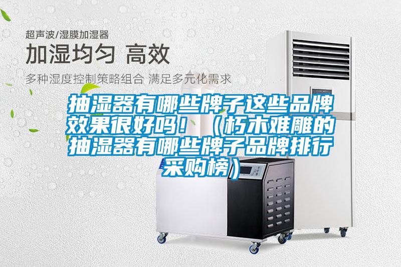 抽濕器有哪些牌子這些品牌效果很好嗎?。ㄐ嗄倦y雕的抽濕器有哪些牌子品牌排行采購(gòu)榜）
