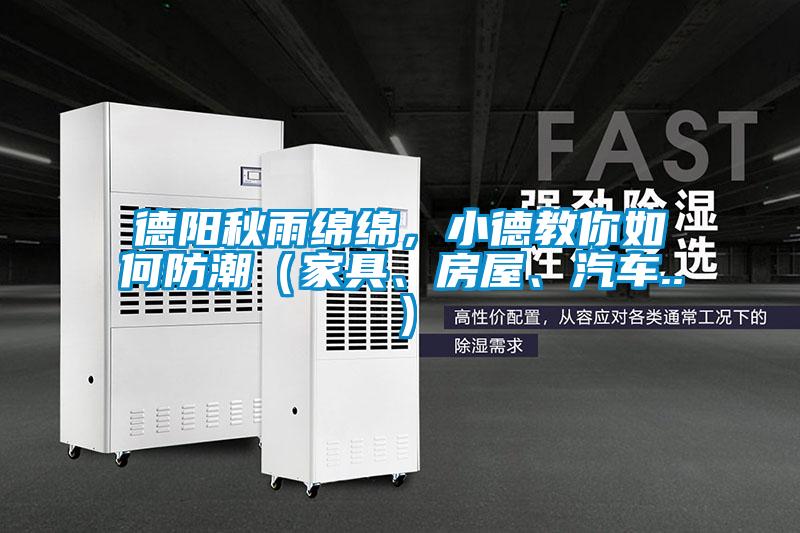 德陽(yáng)秋雨綿綿，小德教你如何防潮（家具、房屋、汽車..）