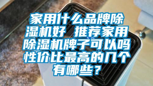 家用什么品牌除濕機好 推薦家用除濕機牌子可以嗎性價比最高的幾個有哪些？