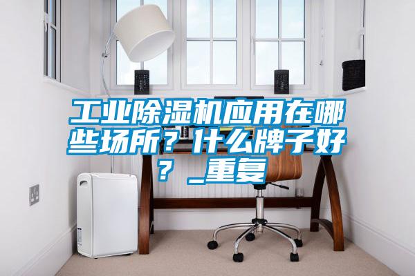 工業(yè)除濕機(jī)應(yīng)用在哪些場(chǎng)所？什么牌子好？_重復(fù)