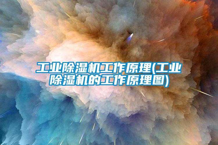 工業(yè)除濕機(jī)工作原理(工業(yè)除濕機(jī)的工作原理圖)
