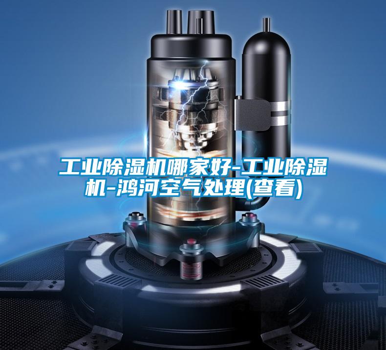 工業(yè)除濕機哪家好-工業(yè)除濕機-鴻河空氣處理(查看)