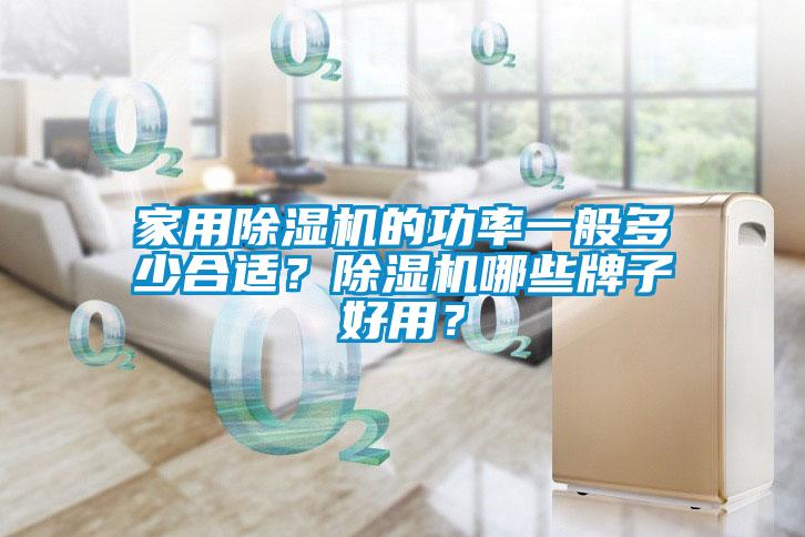 家用除濕機(jī)的功率一般多少合適？除濕機(jī)哪些牌子好用？