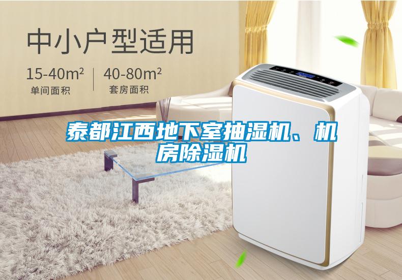 泰都江西地下室抽濕機(jī)、機(jī)房除濕機(jī)