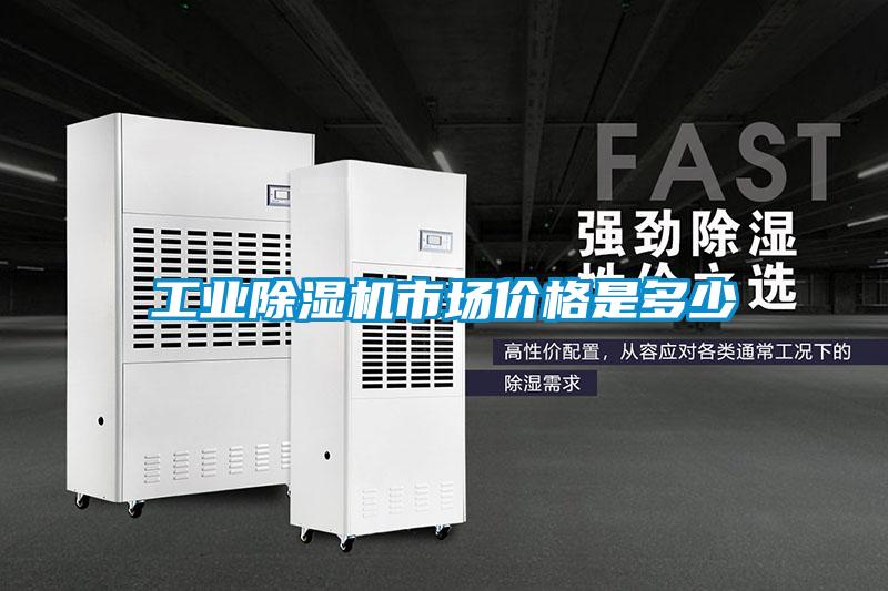 工業(yè)除濕機(jī)市場(chǎng)價(jià)格是多少
