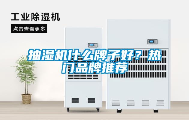 抽濕機(jī)什么牌子好？熱門品牌推薦