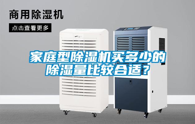 家庭型除濕機(jī)買(mǎi)多少的除濕量比較合適？