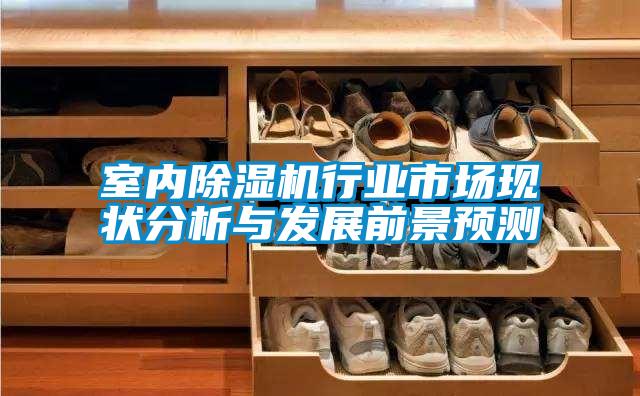 室內(nèi)除濕機(jī)行業(yè)市場(chǎng)現(xiàn)狀分析與發(fā)展前景預(yù)測(cè)