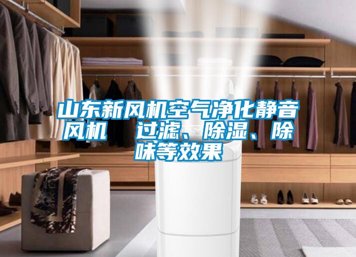 山東新風(fēng)機(jī)空氣凈化靜音風(fēng)機(jī)  過(guò)濾、除濕、除味等效果