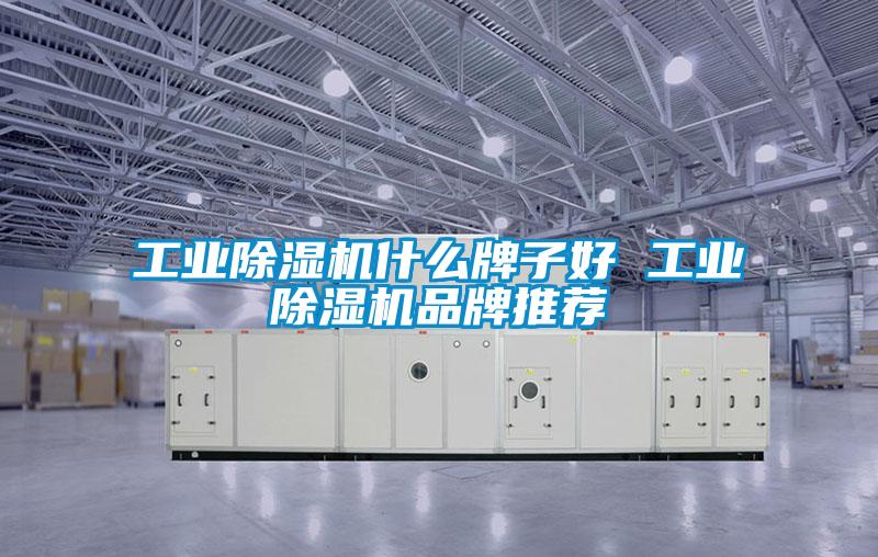 工業(yè)除濕機什么牌子好 工業(yè)除濕機品牌推薦