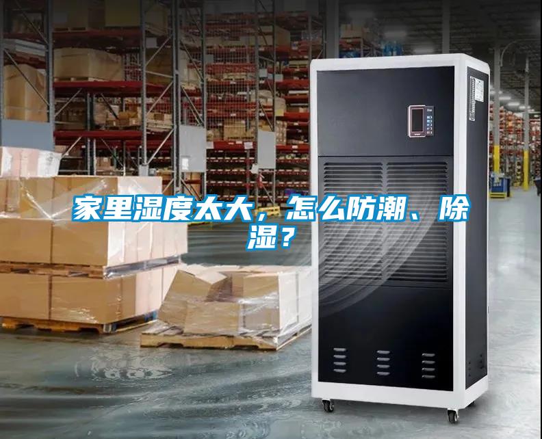 家里濕度太大，怎么防潮、除濕？