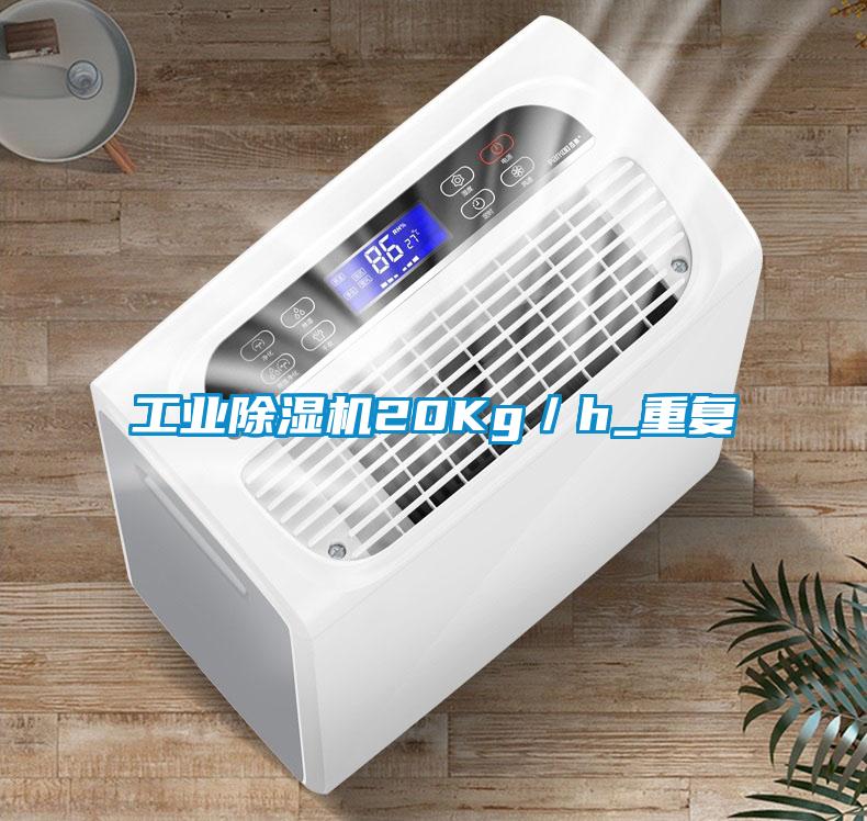 工業(yè)除濕機(jī)20Kg／h_重復(fù)