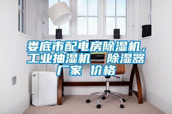 婁底市配電房除濕機(jī)，工業(yè)抽濕機(jī)  除濕器廠家 價格