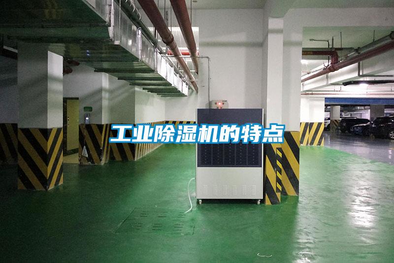 工業(yè)除濕機(jī)的特點(diǎn)