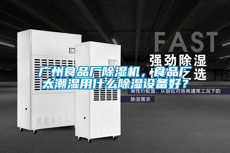 廣州食品廠除濕機，食品廠太潮濕用什么除濕設(shè)備好？