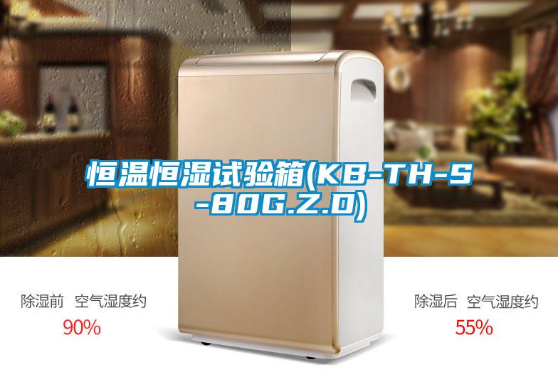 恒溫恒濕試驗(yàn)箱(KB-TH-S-80G.Z.D)