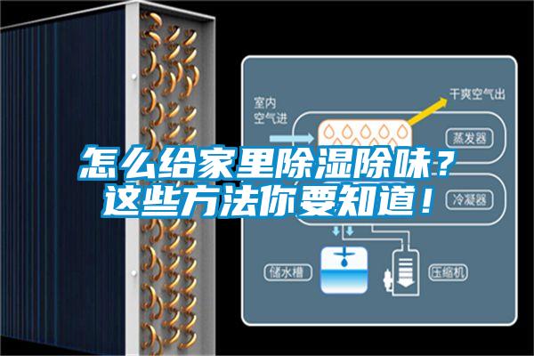怎么給家里除濕除味？這些方法你要知道！