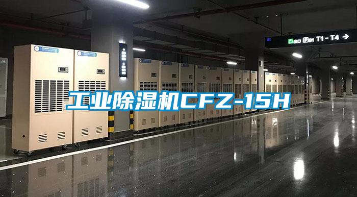工業(yè)除濕機(jī)CFZ-15H
