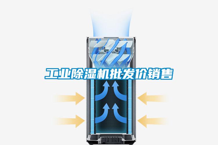 工業(yè)除濕機批發(fā)價銷售