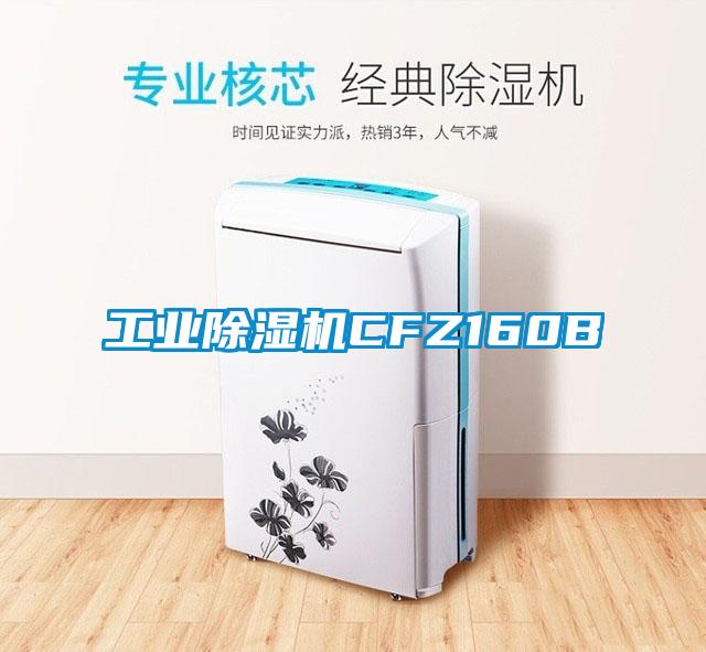 工業(yè)除濕機(jī)CFZ160B