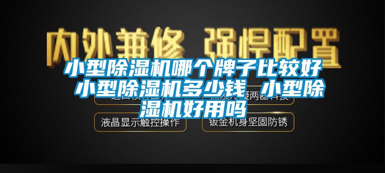 小型除濕機(jī)哪個(gè)牌子比較好 小型除濕機(jī)多少錢(qián) 小型除濕機(jī)好用嗎