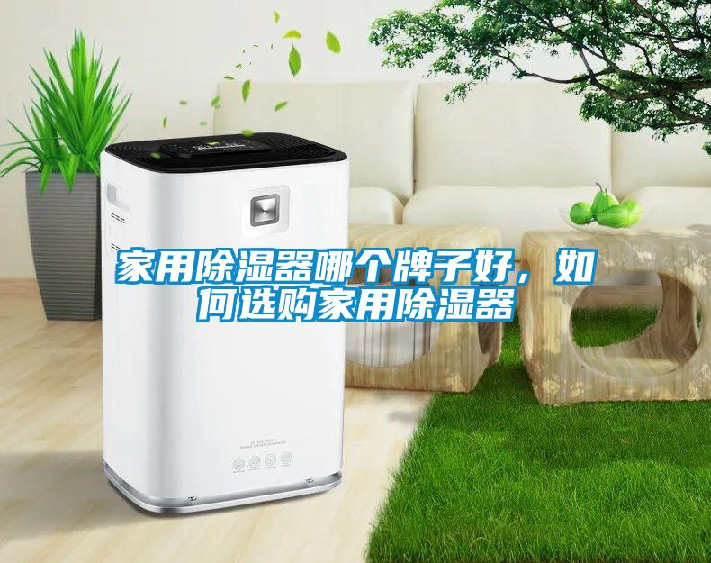 家用除濕器哪個牌子好，如何選購家用除濕器